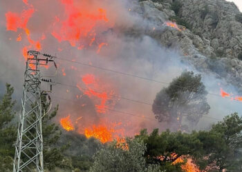 Muğla'da ormana sıçrayan yangın kontrol altına alındı