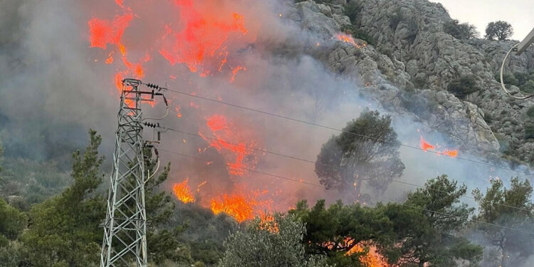 Muğla'da ormana sıçrayan yangın kontrol altına alındı