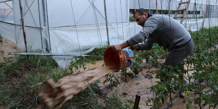 Oltu'da sağanak yağmur, ekili arazilere zarar verdi