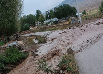 Özalp'te sağanak sele neden oldu