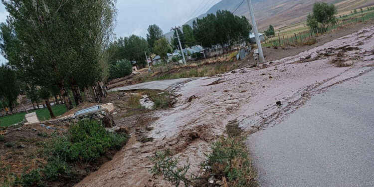 Özalp'te sağanak sele neden oldu