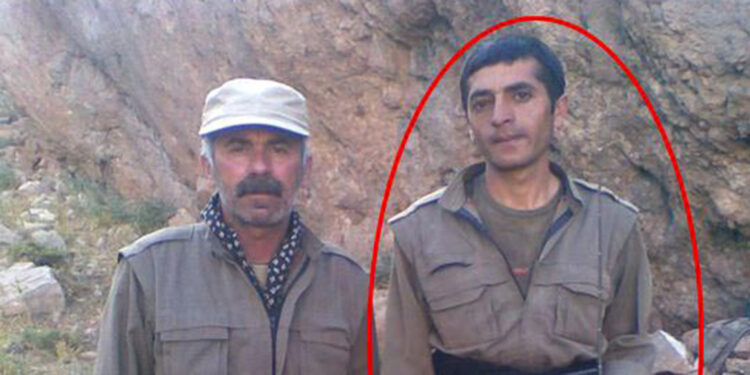 'Özgür Şoreş' kod adlı terörist etkisiz hale getirdi