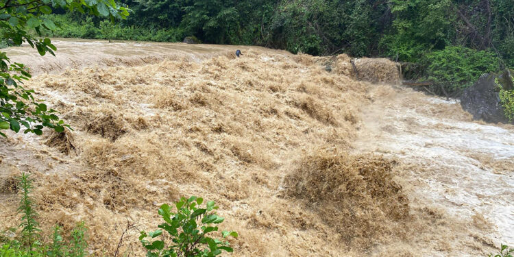Rize'de sağanak; derelerin su seviyesi yükseldi