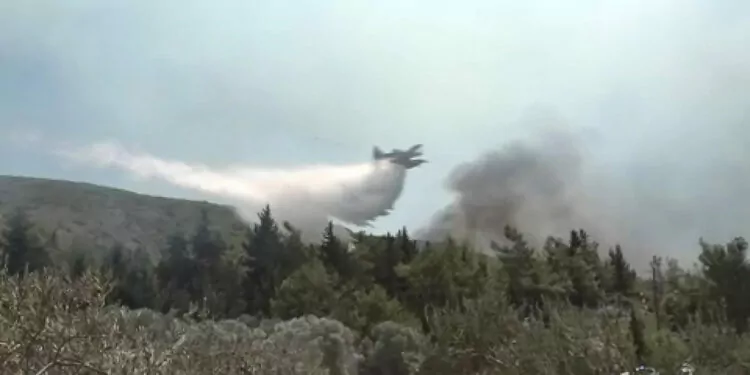 Rodos'ta orman yangınlarıyla mücadele kamerada