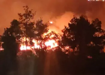 Şanlıurfa'da, piknik alanında korkutan anız yangını