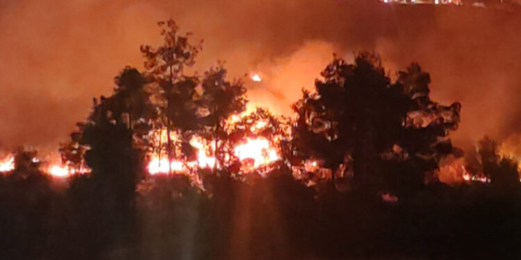 Şanlıurfa'da, piknik alanında korkutan anız yangını