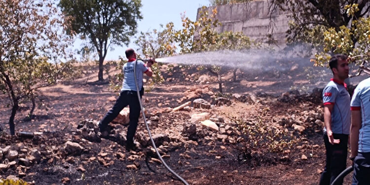 Siirt'te fıstık bahçesinde yangın; 50 ağaç yandı
