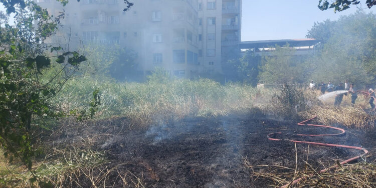 Siirt'teki mezarlıkta yangın; ağaçlar zarar gördü