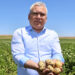 Sivas'ta patates üretiminde 'rekor rekolte' bekleniyor