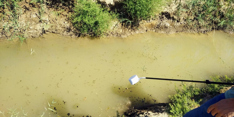 Sokağa bırakılan su kabında milyonlarca sinek üreyebilir