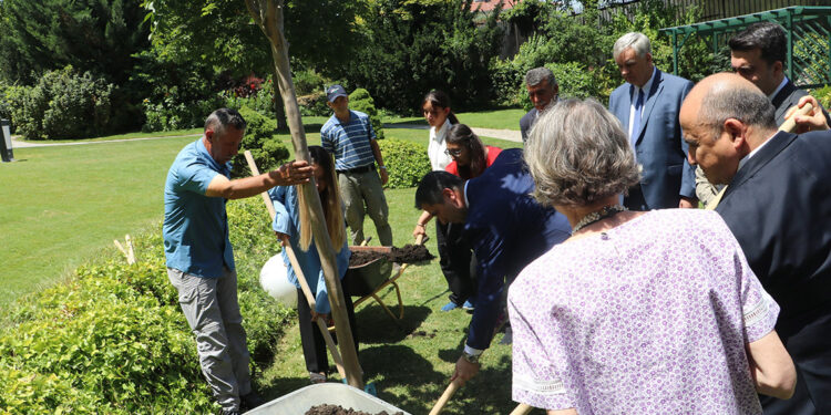 Solingen kurbanları, Almanya Büyükelçiliği'nde anıldı