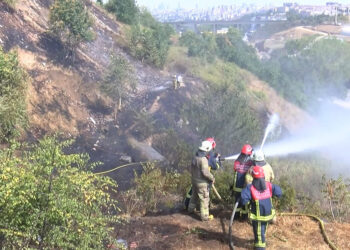 Sultangazi'de otluk alanda çıkan yangın ağaçlara sıçradı