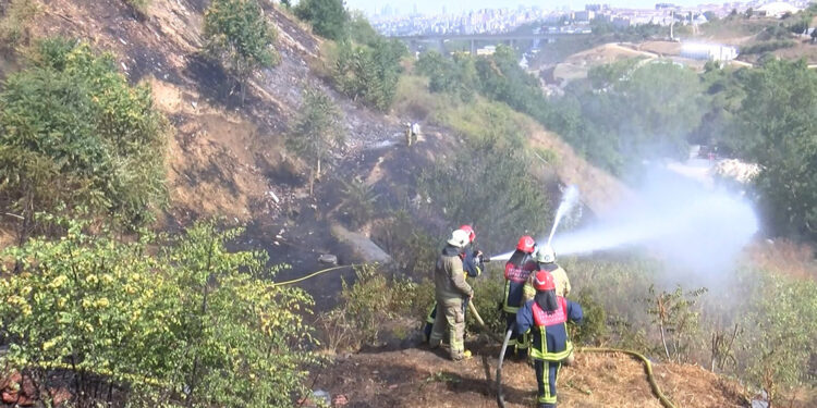Sultangazi'de otluk alanda çıkan yangın ağaçlara sıçradı