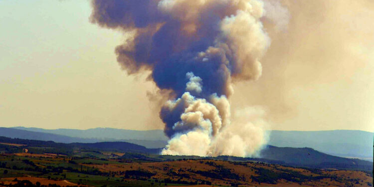 Tekirdağ'da orman yangını