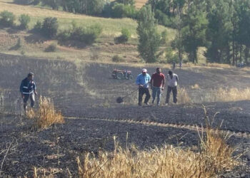 Tokat'ta 15 dönüm buğday tarlası kül oldu