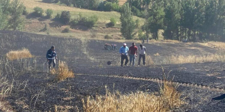 Tokat'ta 15 dönüm buğday tarlası kül oldu