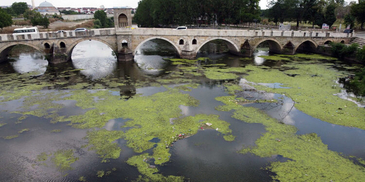 Tunca Nehri'nde su seviyesi yarıya düştü