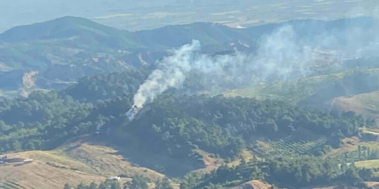 Turgutlu'da çıkan orman yangını söndürüldü