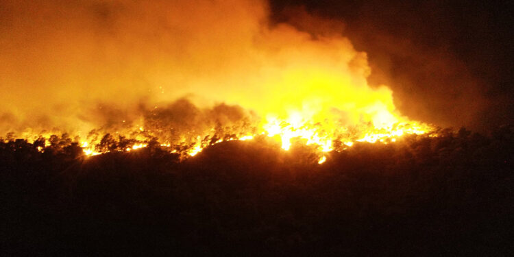 Turizm cenneti Kemer'de orman yangını