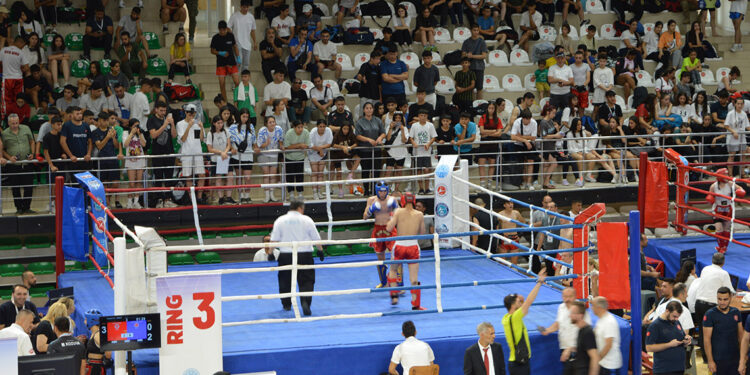 Türkiye Kick Boks Şampiyonası Mardin’de başladı