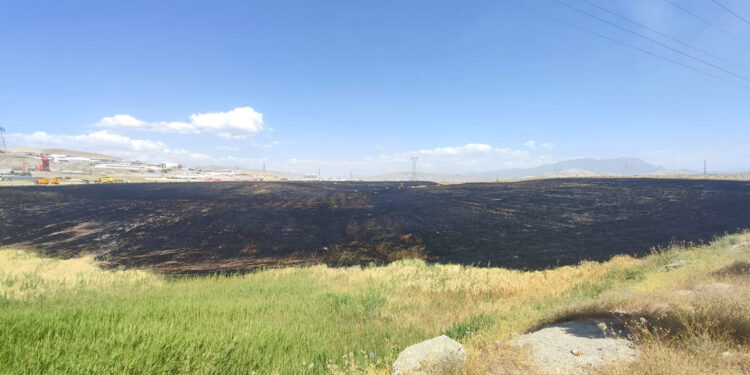 Van'da buğday tarlasında çıkan yangın söndürüldü