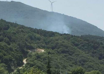 Yalova'da orman yangını