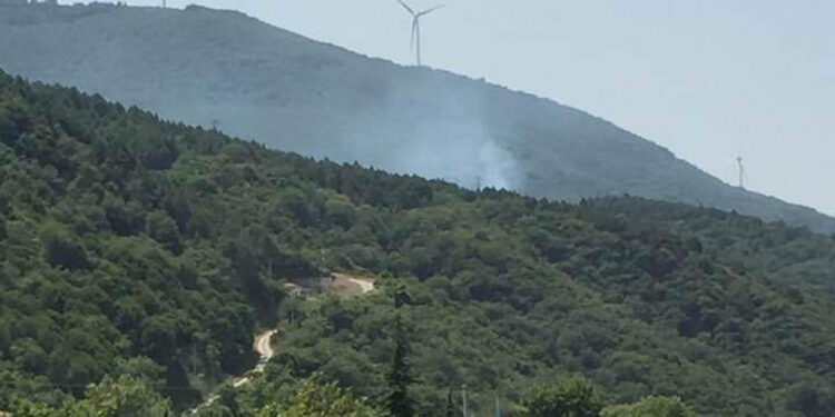 Yalova'da orman yangını