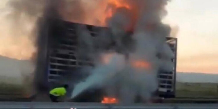 Yangının çıktığı kamyondaki 1500 tavuk öldü