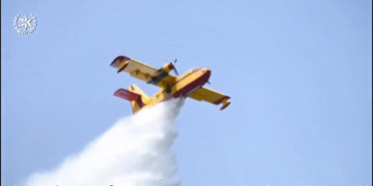 Yunanistan'da orman yangınlarıyla mücadele sürüyor