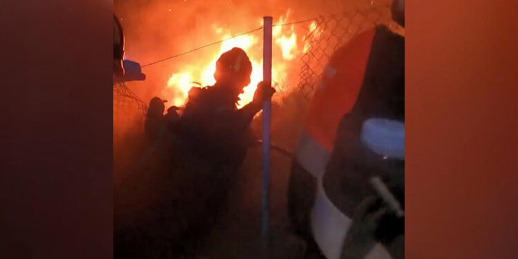 Yunanistan'da orman yangınlarıyla mücadele sürüyor