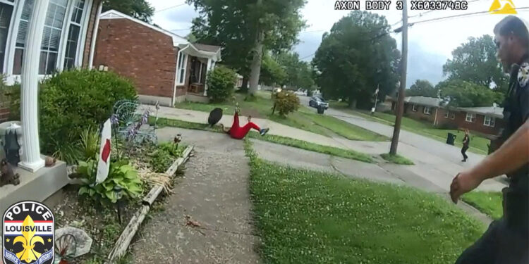 Sahibinden kaçan domuz böyle yakalandı