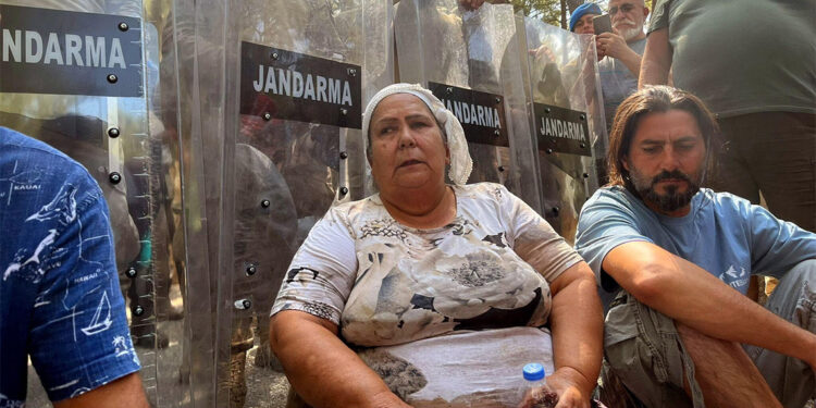 Gamsız olacaksın şu dünyada