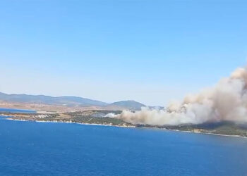 Aliağa'daki orman yangınına 2 gözaltı