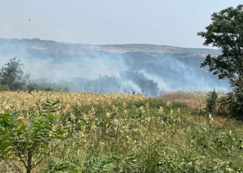 Keşan'da çıkan anız yangını büyümeden söndürüldü