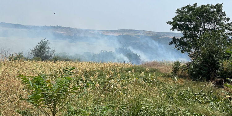 Keşan'da çıkan anız yangını büyümeden söndürüldü