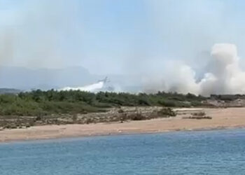 Manavgat'ta orman yangını; Ekipler yangına müdahale ediyor