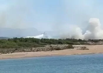 Manavgat'ta orman yangını; ekipler yangına müdahale ediyor