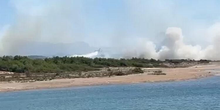 Manavgat'ta orman yangını; Ekipler yangına müdahale ediyor