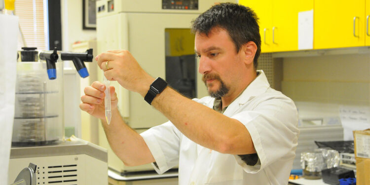 Deniz suyu sıcaklığı arttı, istilacı türler karaya vurdu