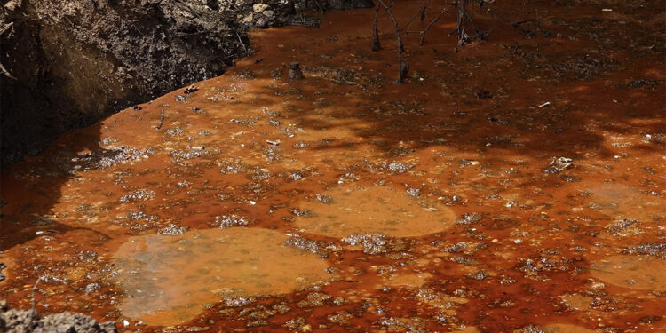 Balık fabrikasının atıkları derenin rengini değiştirdi