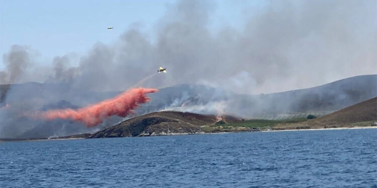 Avşa Adası'nda otluk arazide yangın