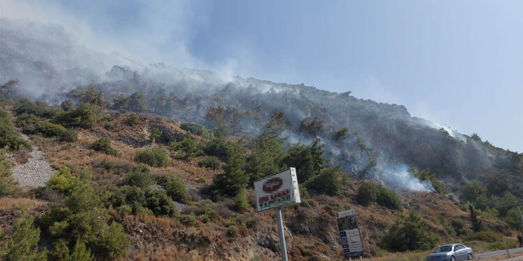 Söke'de orman yangını