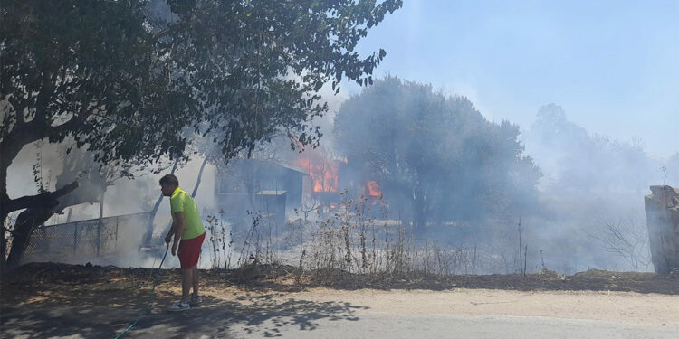 Bodrum'da çıkan yangın tiny house'lara sıçradı