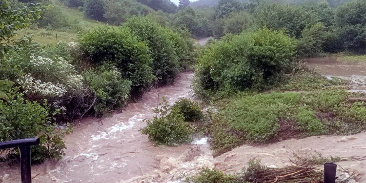 Abant Gölü Milli Parkı yolundaki dere taştı