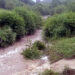 Abant Gölü Milli Parkı yolundaki dere taştı