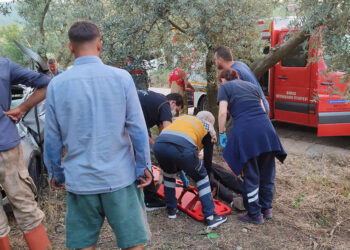 Bursa'da otomobil zeytinliğe girdi; 1 ölü