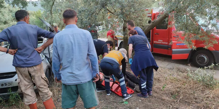 Bursa'da otomobil zeytinliğe girdi; 1 ölü
