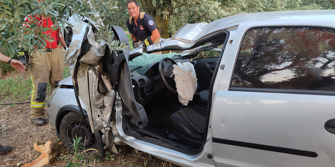 Bursa'da otomobil zeytinliğe girdi; 1 ölü
