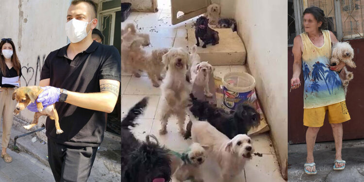 Kötü koşullarda yetiştirilen can dostlar kurtarıldı