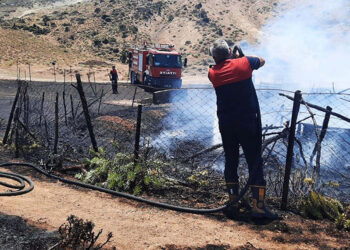 Ağılda çıkan yangında 150 oğlak öldü